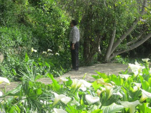 a man standing on a path in a garden at Auberge des Cascades Imouzzer - Paradise Valley in Imouzzer des Ida Ou Tanane