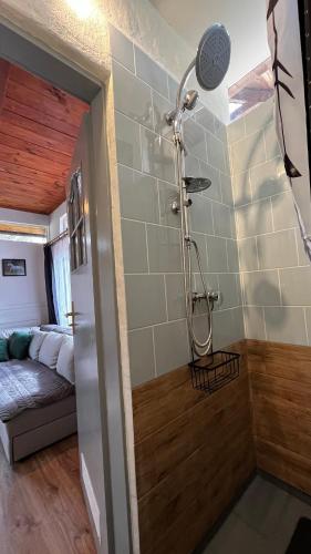 a bathroom with a shower in a room at Leśny Zakątek agroturystyka z głaskaniem zwierząt in Ożarów