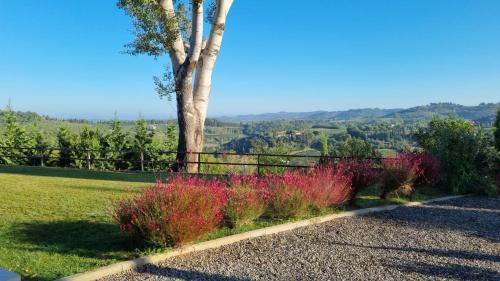 a garden with pink flowers and a tree at Tenuta Tegolato in Barberino di Val dʼElsa