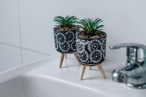 deux plantes posées sur un comptoir de salle de bain à côté d'un lavabo dans l'établissement Central-Living blue - Netflix - WiFi, à Essen