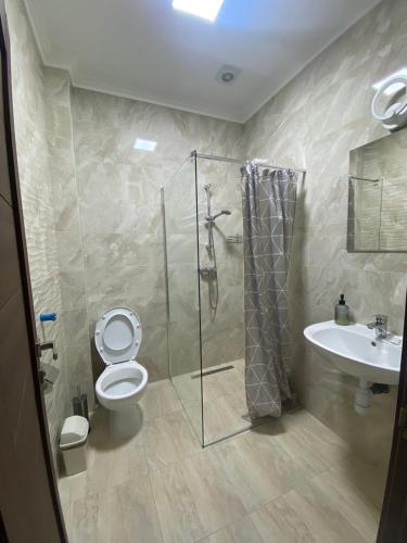 a bathroom with a shower and a toilet and a sink at RIVER SIDE in Polyana
