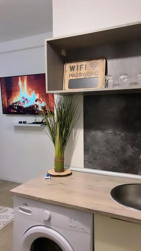 Superbe appartement proche Gare – Photos 3