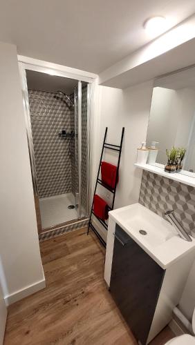 a small bathroom with a sink and a shower at Appart 2 chambres avec extérieur in Cherbourg en Cotentin
