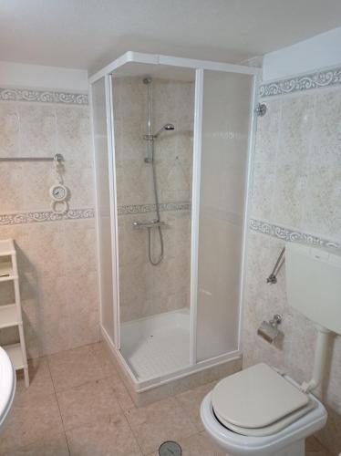 a bathroom with a shower with a toilet and a sink at La maison du bonheur in Celavisa