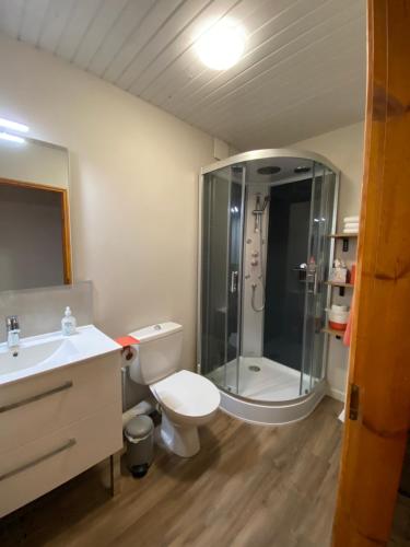 e bagno con doccia, servizi igienici e lavandino. di Gîte des Ours a Osséja