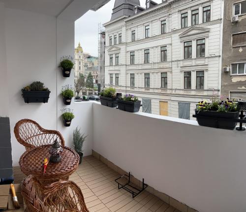 einen Balkon mit einem Stuhl und einem Fenster mit Pflanzen in der Unterkunft City View in Bukarest
