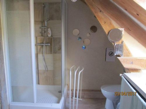 ein Bad mit einer Dusche und einem WC im Dachgeschoss in der Unterkunft Gîte village des bords de Loire in Montjean-sur-Loire