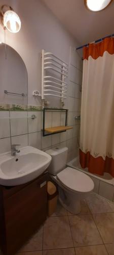 U Wojtaszka في Mizerna: حمام مع مرحاض ومغسلة ودش