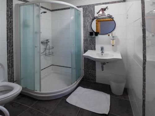 a bathroom with a shower and a sink at Guesthouse Stari Tišler in Ljubljana