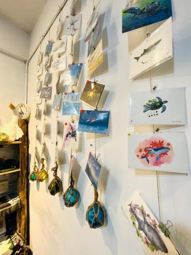 a wall with a bunch of pictures on it at Ocean Diary Hostel in Green Island
