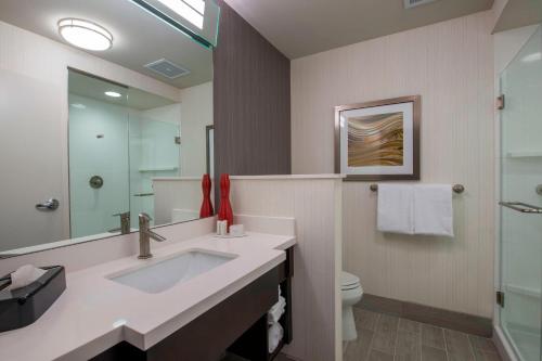 a bathroom with a sink and a toilet and a mirror at Courtyard by Marriott Columbus in Columbus
