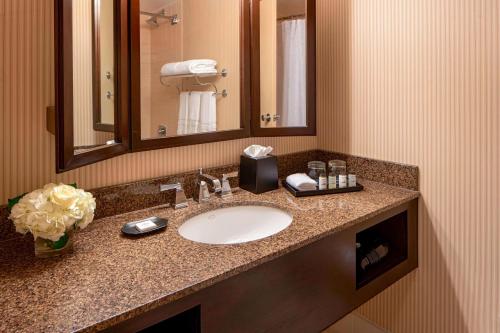 La salle de bains est pourvue d'un lavabo et d'un miroir. dans l'établissement Sheraton Houston Brookhollow, à Houston