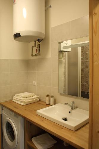 a bathroom with a sink and a washing machine at Apartmán Marmeláda in Čtyřkoly