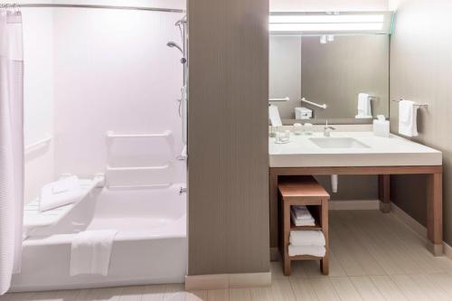 a bathroom with a sink and a toilet and a mirror at Courtyard by Marriott Fort Worth Alliance Town Center in Fort Worth