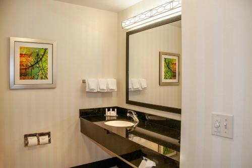 La salle de bains est pourvue d'un lavabo et d'un grand miroir. dans l'établissement Fairfield Inn and Suites by Marriott Colorado Springs North Air Force Academy, à Colorado Springs