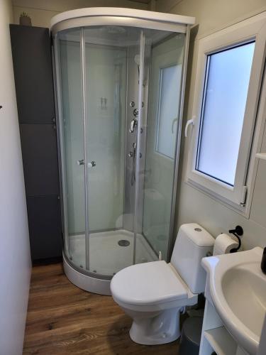 La salle de bains est pourvue d'une douche, de toilettes et d'un lavabo. dans l'établissement Mobilna hiška 21 v kampu BIG BERRY, à Metlika
