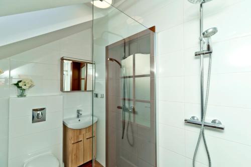 a bathroom with a shower and a sink at HORN Jastarnia in Jastarnia