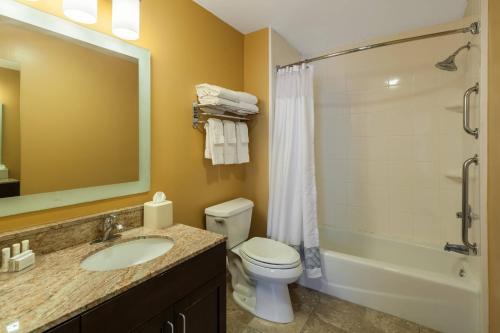 y baño con lavabo, aseo y ducha. en TownePlace Suites Jacksonville Butler Boulevard, en Jacksonville