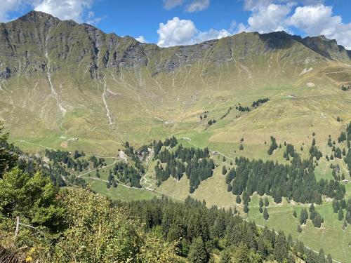 a view of a mountain with trees in the foreground at Val D’Illiez mountain apartment. in Val dʼIlliez