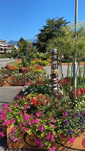 a display of flowers in a garden on a street at Val D’Illiez mountain apartment. in Val dʼIlliez