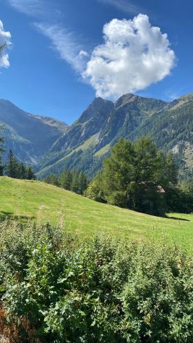 a green field with mountains in the background at Val D’Illiez mountain apartment. in Val dʼIlliez