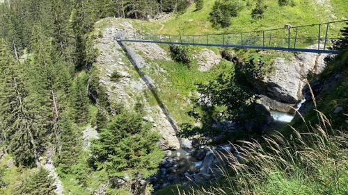 a bridge over a river on a mountain with trees at Val D’Illiez mountain apartment. in Val dʼIlliez