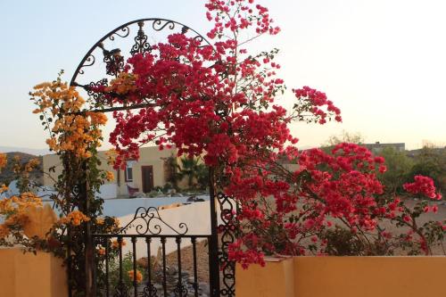 a black iron gate with red flowers on it at Desert Escapes in Tabernas