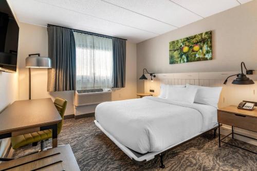 a hotel room with a bed and a desk at Fairfield Inn & Suites by Marriott Providence Airport Warwick in Warwick