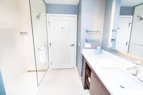 a bathroom with a shower and a sink and a mirror at Residence Inn by Marriott Albany Washington Avenue in McKownville