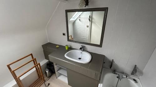 une salle de bain avec un lavabo et un miroir dans l'établissement Gites Duguesclin, à Saint-Coulomb