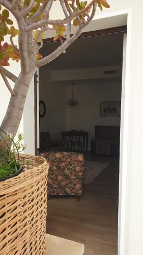a living room with a tree and a couch at Mariluna in Modugno