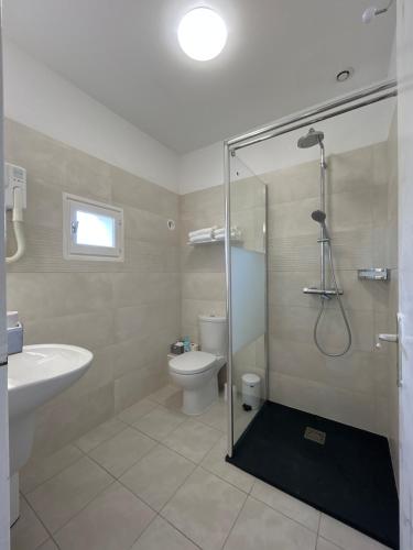 een badkamer met een douche, een toilet en een wastafel bij Hotel & Appartements Punta e Mare in Cargèse