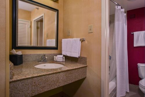a bathroom with a sink and a mirror and a toilet at Courtyard by Marriott Richmond West in Richmond