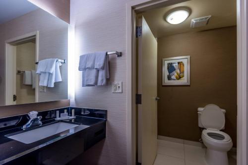 uma casa de banho com um lavatório, um WC e um espelho. em Fairfield Inn & Suites Savannah I-95 South em Savannah