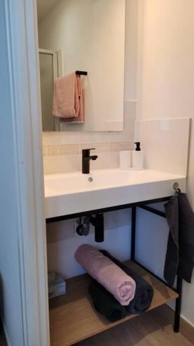 une salle de bain avec un lavabo et un miroir dans l'établissement Charmant T2 rénové avec Jardin, à Saint-Mathieu-de-Tréviers