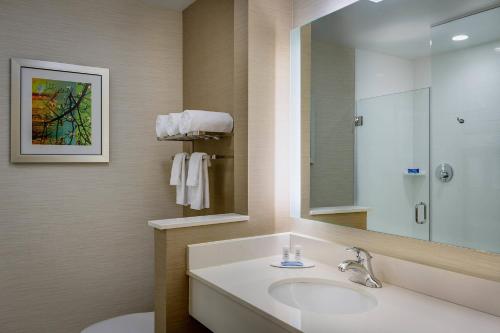 ein Bad mit einem Waschbecken und einem Spiegel in der Unterkunft Fairfield Inn & Suites by Marriott Dallas West/I-30 in Dallas