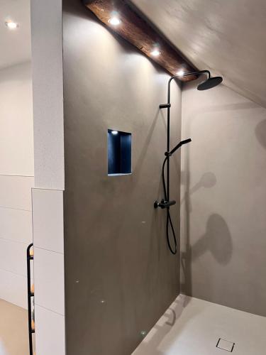 a shower in a bathroom with a wall at S‘Lieblingsplatzl in Bad Aussee