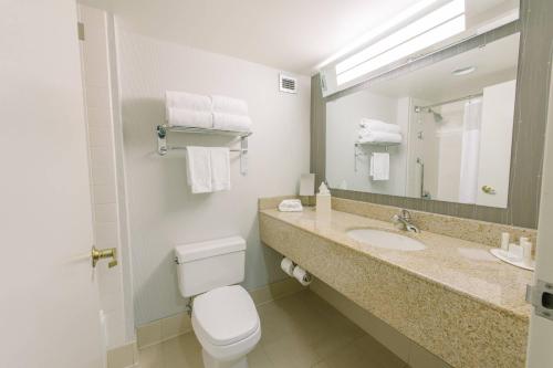 a bathroom with a toilet and a sink and a mirror at Courtyard by Marriott Nashua in Nashua