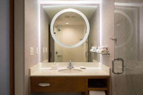 邁阿密的住宿－邁阿密市中心/醫療中心春季山丘套房酒店，一间带水槽和镜子的浴室