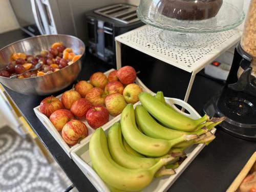 Jídlo v hostelu nebo okolí