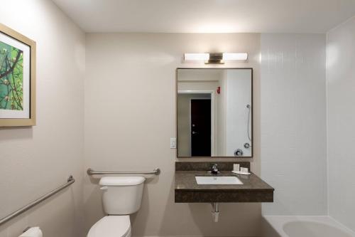 a bathroom with a toilet and a sink and a mirror at Fairfield Inn & Suites Savannah Airport in Savannah