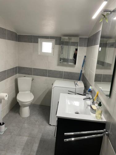une salle de bain avec des toilettes blanches et un lavabo dans l'établissement L’aire vieille, à Pommiers