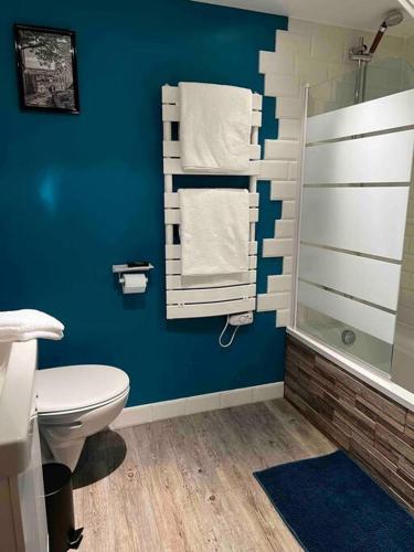 La salle de bains bleue est pourvue de toilettes et d'une douche. dans l'établissement La Petite Rochambelle (hyper centre-ville), à Vendôme