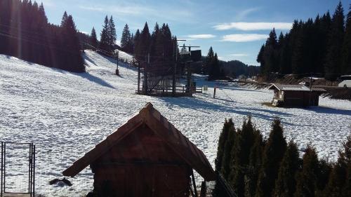 Photo de la galerie de l'établissement Le Repaire du Loup blanc, à Prémanon