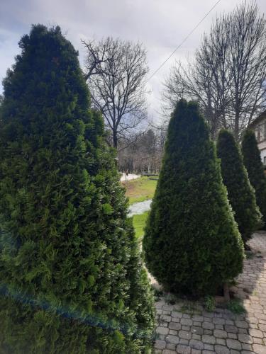 Jardín al aire libre en Apartman JELENA M Vrnjačka Banja