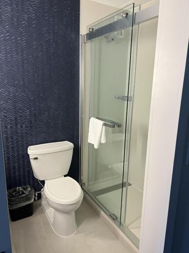 a bathroom with a toilet and a glass shower at Fairfield Inn & Suites Springfield Enfield in Springfield