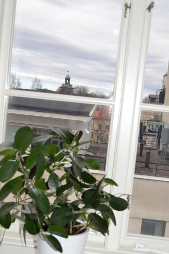 a plant sitting on a window sill next to a window at Lilla Hotellet Bed & Breakfast i Alingsås in Alingsås