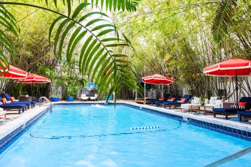 a large swimming pool with chairs and umbrellas at Catalina Hotel & Beach Club in Miami Beach