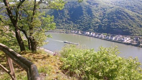 a view of a river with a boat in it at RheinWeinBoppard 2 - mit Rheinblick in Boppard