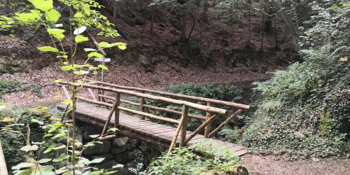 a wooden bridge in the middle of a forest at RheinWeinBoppard 2 - mit Rheinblick in Boppard